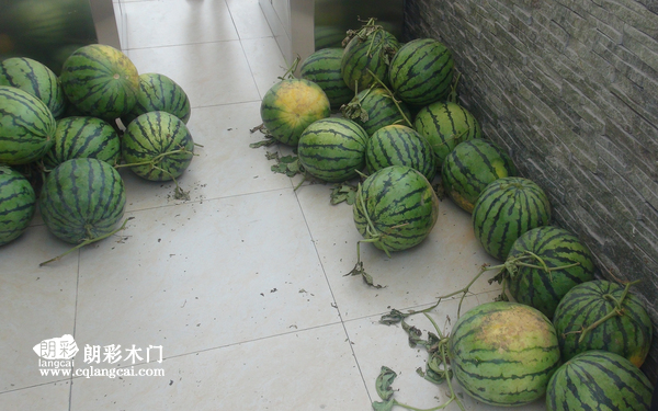 重庆朗彩木门夏日送西瓜